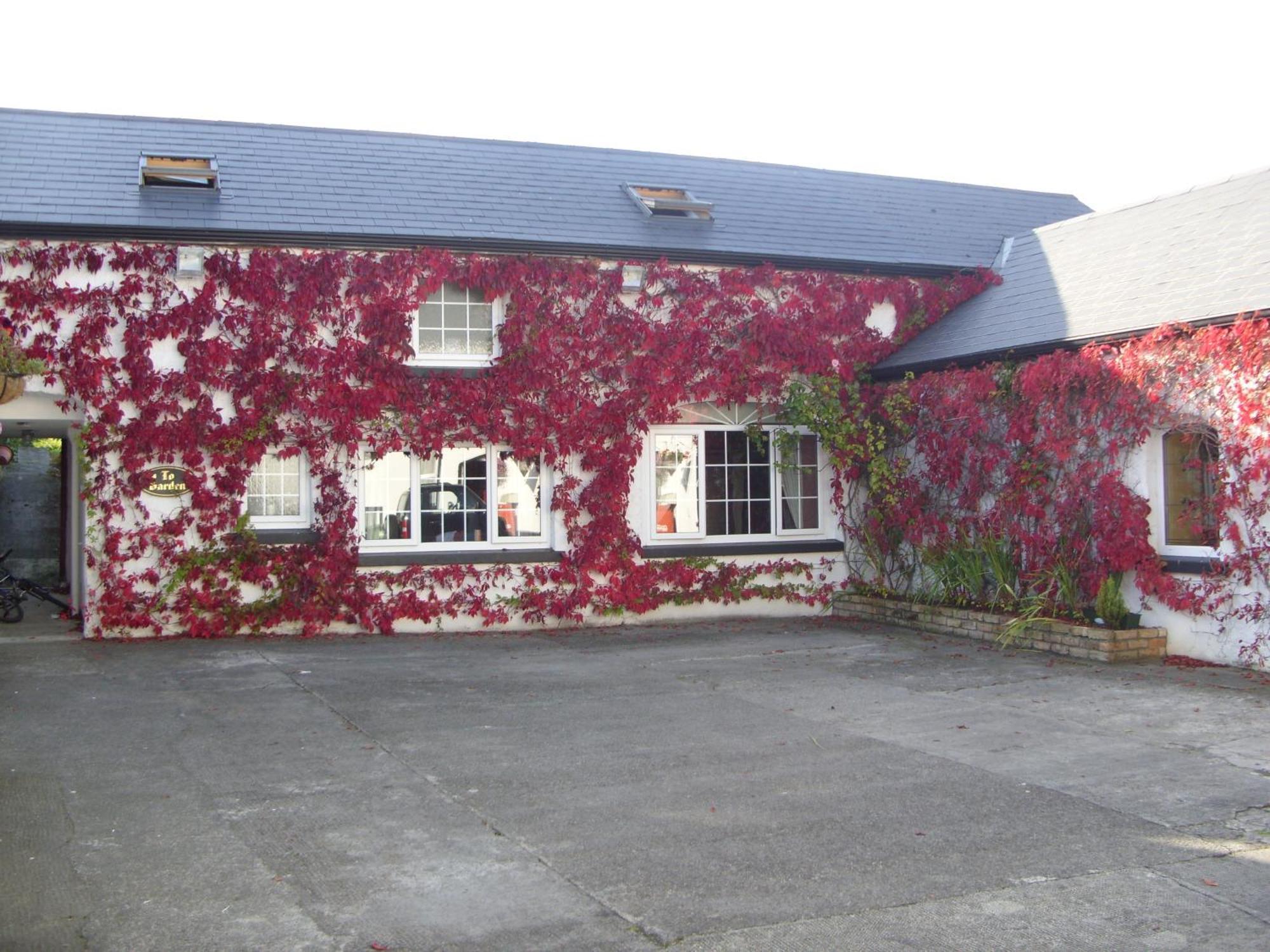 Townsend House Guest House バー エクステリア 写真